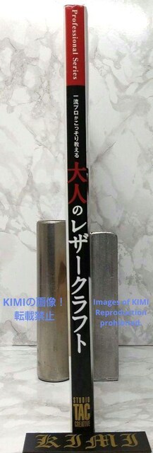 l̃U[Ntg ꗬv苳 Professional Series Ps{ 2013 X^WI ^bN NG  {/G 
