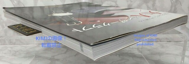l̃U[Ntg ꗬv苳 Professional Series Ps{ 2013 X^WI ^bN NG  {/G 