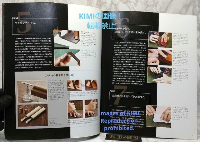 l̃U[Ntg ꗬv苳 Professional Series Ps{ 2013 X^WI ^bN NG  {/G 