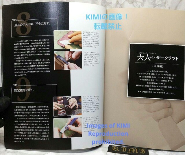 l̃U[Ntg ꗬv苳 Professional Series Ps{ 2013 X^WI ^bN NG  {/G 