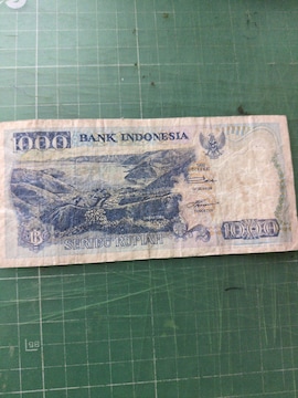 ChlVA1000sA