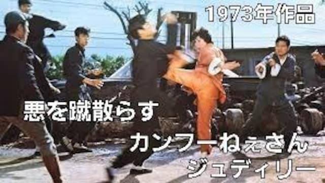 sJt[RbvWfB[{ꎚ  CD/DVD/rfI 