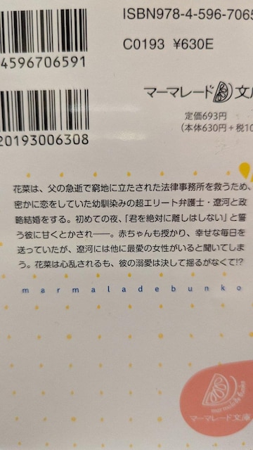 ̃Xp_ٌm̓}}ƃxr[ɗh邬Ȃ҈ؖ遚L藬}[}[h  {/G 