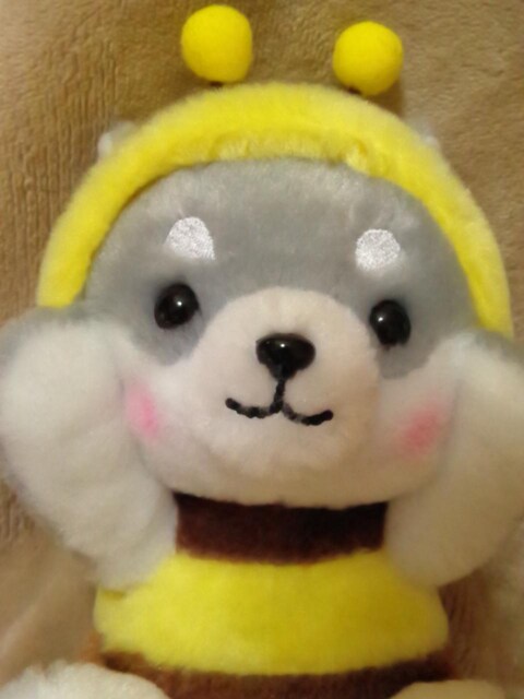 ΎOZ큡~co`ʂ ^CK