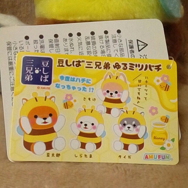 ΎOZ큡~co`ʂ ^CK
