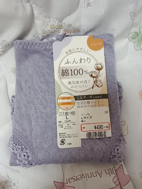 ӂ100V[cViL 
