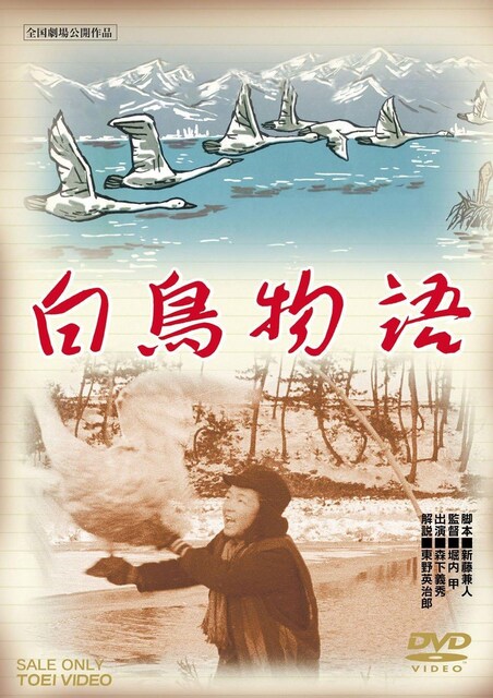 nana56b-d-.x b[]DVD X`G Y pY  N J      CD/DVD/rfI 