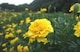 PRZ[B}[S[h̉ԎPOOO980~{Iׂeiv[gv܂BS̑Sł_(^o^)^