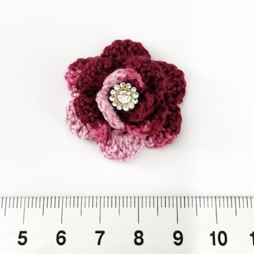 12*Ҳށڰ̊́@13