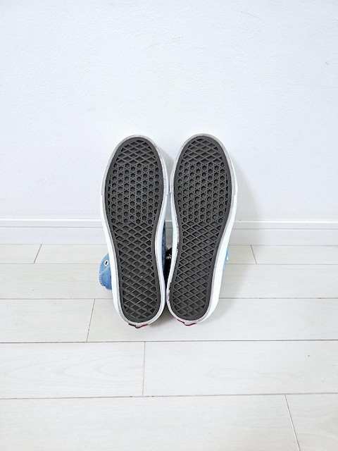 VANS fj nCJbgXj[J[ 26p  uh 