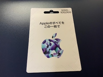 AppleMtgJ[h@1000~@~j^[