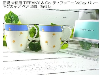 500~X^K gp TIFFANY & Co. eBt@j[ Valley o[ }OJbv yA@p