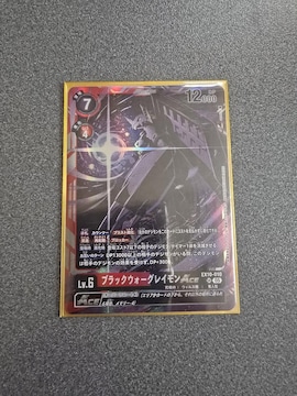 fWJ[h ubNEH[OCACE SR
