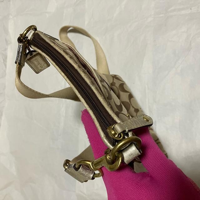 yCOACH / R[`z VOl`[ / V_[obO / TRbV ΂ߊ| LoX U[  uh 