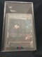 IJg}jA THE BEST OF XY 181/171