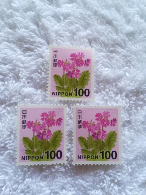 ʐ؎300~@100~؎~3@~j^[@|Cg 