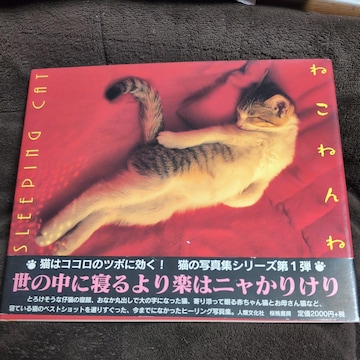 ʐ^Ww˂˂ˁxⓌiʐ^A艿2000~{