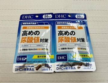 DHC ߂̔A_l΍ 20@20@x2