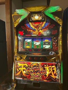 niniPV25
