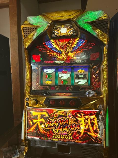 niniPV25   zr[ 