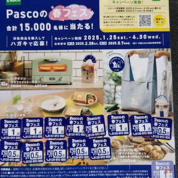 PascȍttFX@V[10_