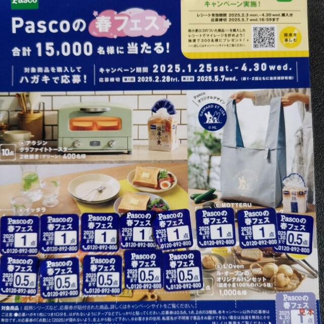 PascȍttFX@V[10_ 