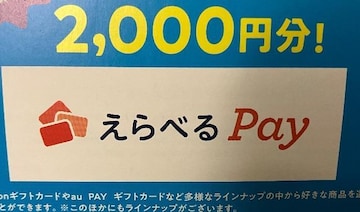 2000l/Iׂpay2000~5