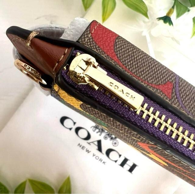Vi gp lC COACH X}zV_[ C{[ J[L}` VOl`[ gѓ  uh 