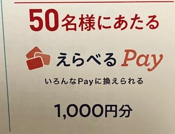 ^CAbvIׂpay1000~/50l3