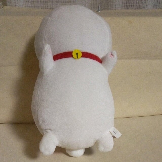 ĖڗFlӂƂʂ݁`jR搶ƍjR`@jR搶