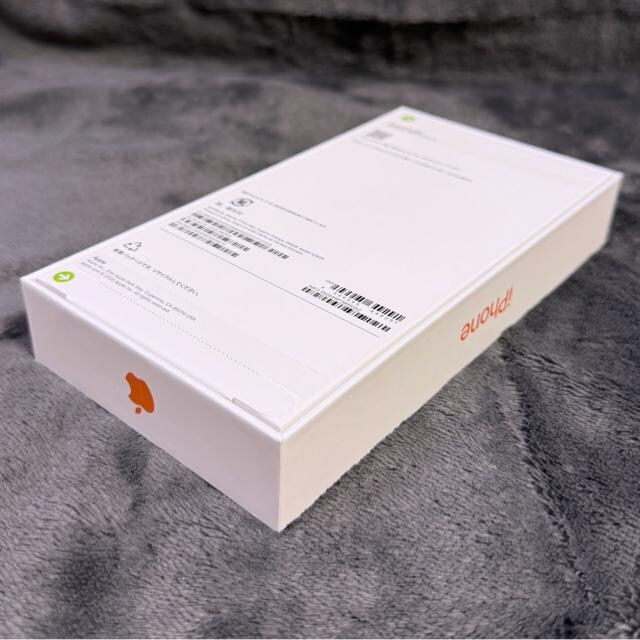 yViSJziPhone17ProMax 256GB RY~bNIW  SIMt[ AbvKi   Ɠd/AV 