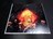 【新品】Amazon.co.jp限定特典 Aimer「Walpurgis」メガジャケ (通常盤絵柄) / 非売品 エメ