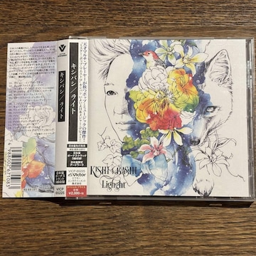 yKISHI BASHIzLIGHT