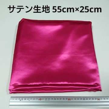 Te n 55cm~25cm ZsNF sN n z nM ͂ 