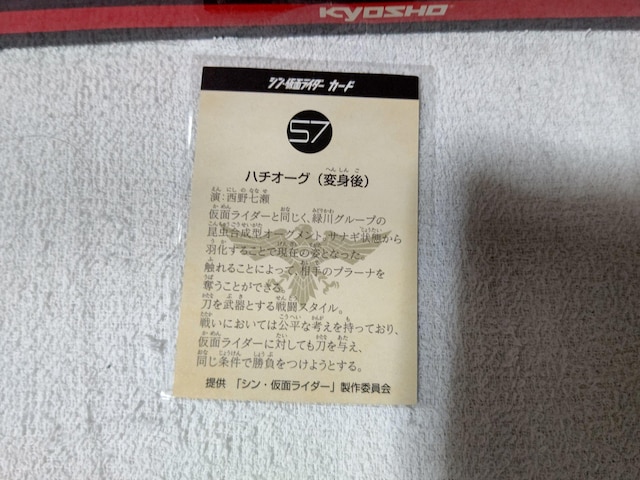 Jr[  '23 VʃC_[ n`I[O #57 쎵  ^gObY 