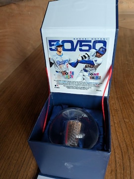 2024NɑJI肪50/50B̓ỹNX^{[B