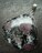 XslCOiCgVo[gbv@SDTZ`