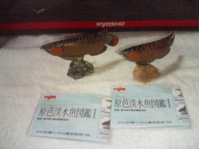 W}1@ AWAAi 2@ (J[&m[})@  V[Nbg   zr[ 