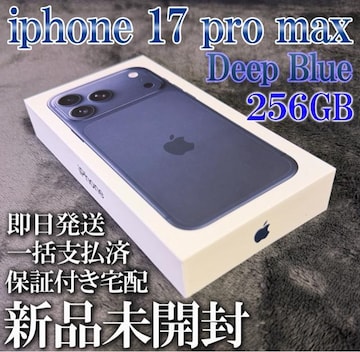 yViJziPhone17ProMax 256GB fB[vu[ 