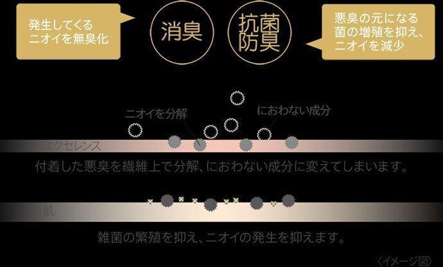 kanebo/Jl{E/excellence /GNZX/̓Vg/XgbLO//LTCY/BE/5Zbg  uh 
