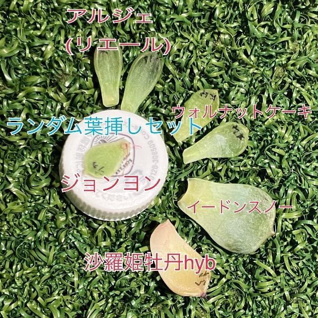 t}Zbg EHibgP[L AWF W  C[hXm[ POhyb   ybg/|/| 
