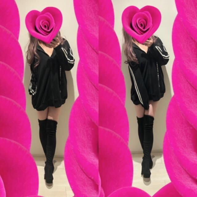 NOEMIECa݂ܗуjZbNXp[J[  t@bV 