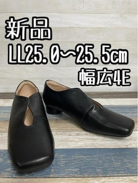 ViLL25.0cm25.5cmL4E􍕌n􂨂ȃ[q[V[YQ269