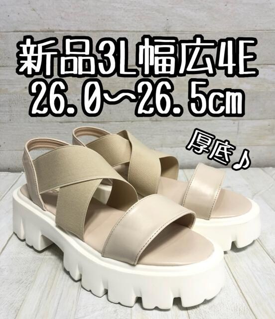 Vi3L26.0`26.5cmL4Ex[WnT_\[D704   t@bV 