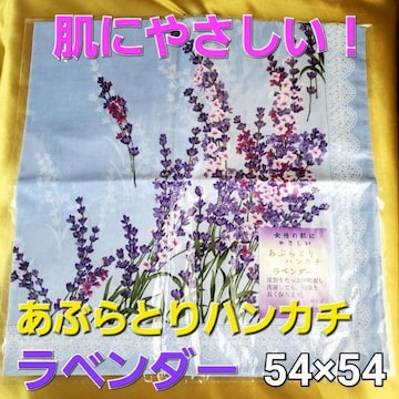 ݁ɂ₳IԂƂnJ`Iix_[j54~54a