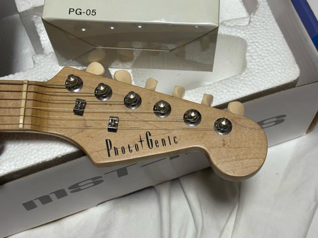 Photogenic ~jGLM^[@MST-120Sۏ؏1919-04-1  zr[ 