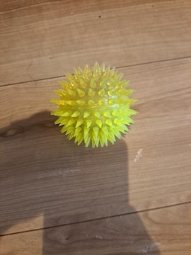 邨