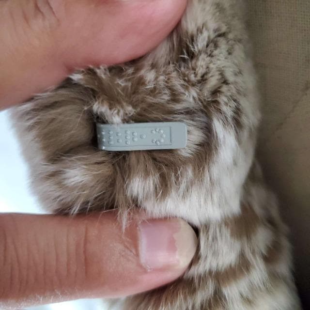 ݁iƂĂIӂӂIєk[gAWPbgR[g  t@bV 