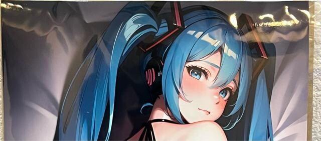   A4 |X^[ AI l CXg Aj l ZNV[ ~N VOCALOID {[JCh 