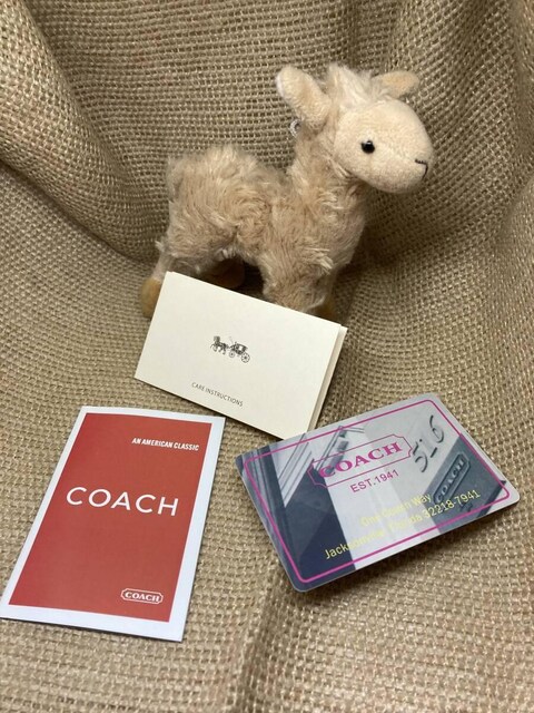 COACH  R[`  C4715  z@ptHCebh  T[vX  VOl`[  WbvAEh  Xgbvt  uh 